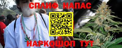 индика Кулебаки