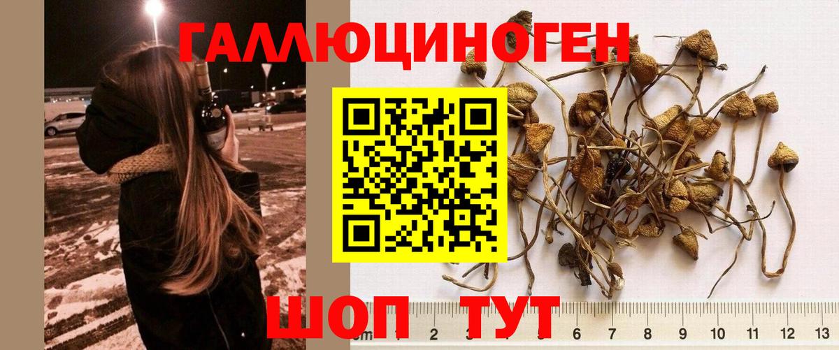 Галлюциногенные грибы Magic Shrooms Дмитров