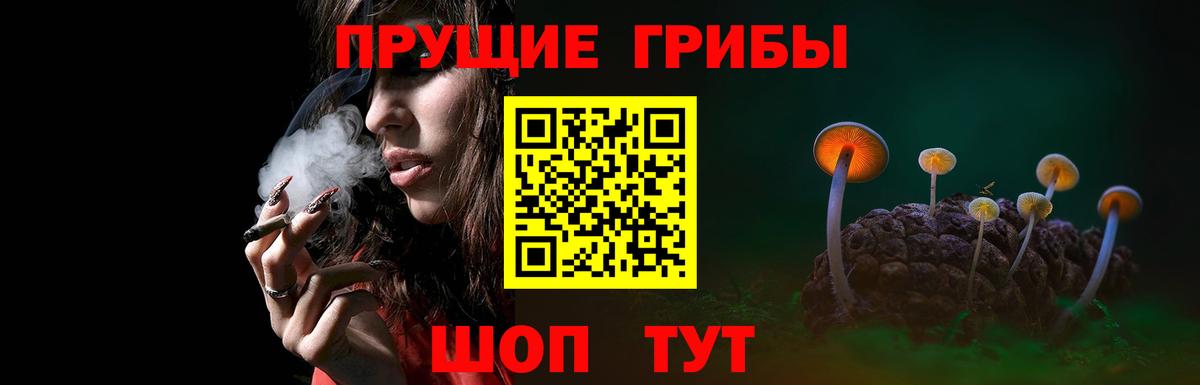 Псилоцибиновые грибы MAGIC MUSHROOMS  Псилоцибиновые грибы мухоморы  Дмитров  Вход с VPN 
